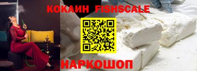 крисы Шебекино