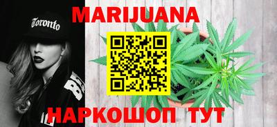 крисы Шелехов