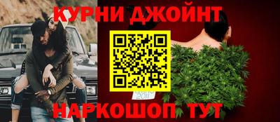крисы Шелехов
