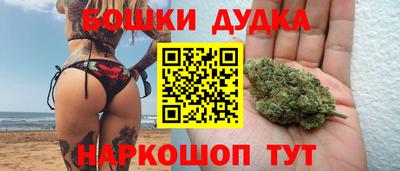 крисы Шебекино