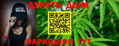 крисы Шелехов