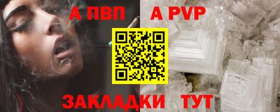 крисы Шелехов