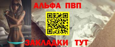 крисы Шелехов
