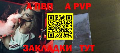 крисы Шелехов