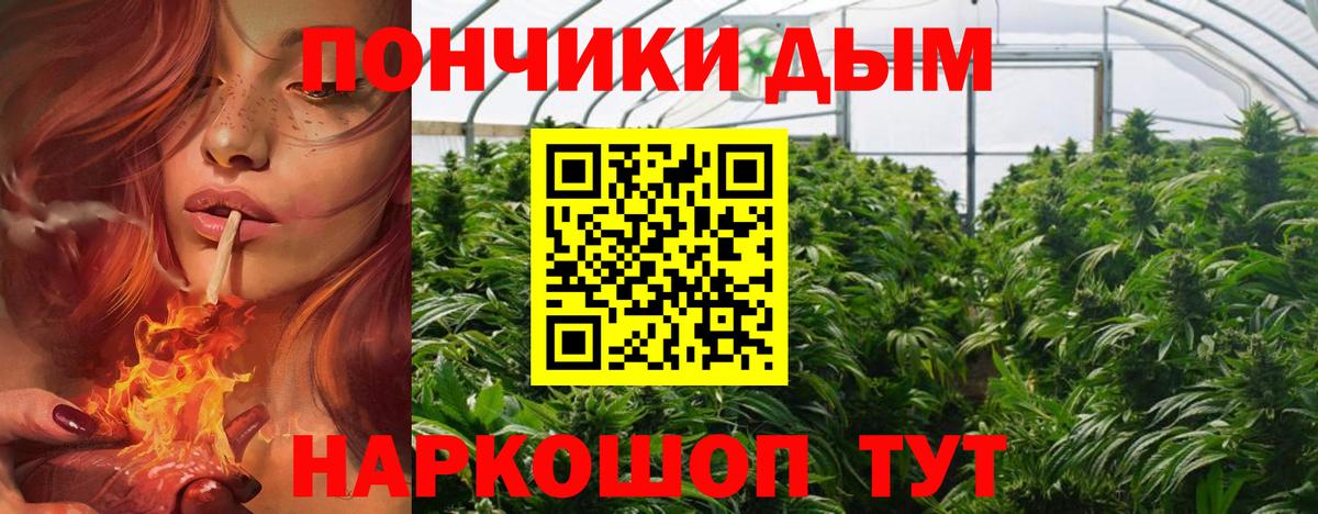 Шишки марихуана SATIVA & INDICA Киров